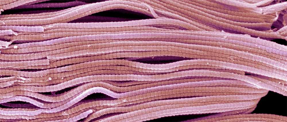 collagen-molecule-look